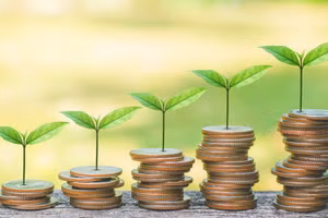 Ảnh minh họa/internet.