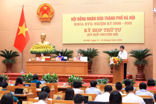 Quang cảnh kỳ họp.
