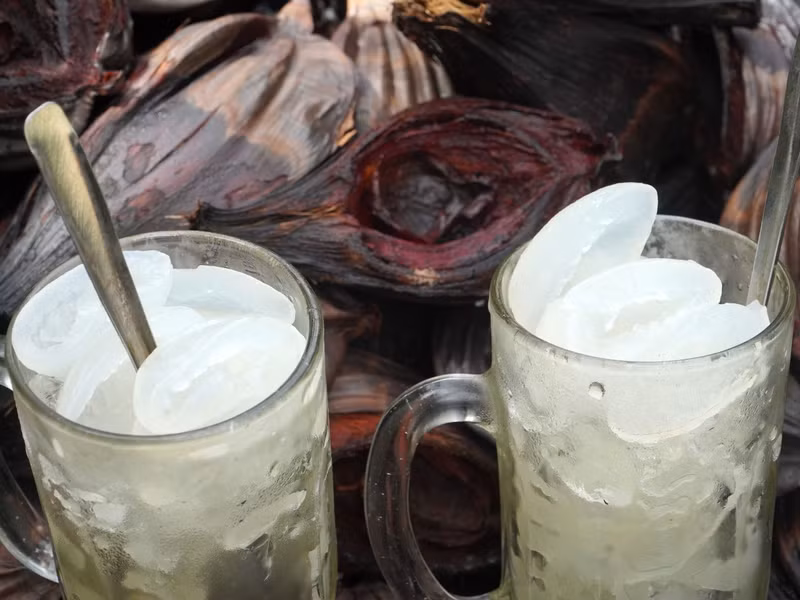 Hiện xã Mỹ Phước đã thành lập được tổ hợp tác liên kết tiêu thụ dừa nước với 16 tổ viên tham gia khai thác trên 100ha dừa nước sẵn có của gia đình. (Ảnh: Q.A) anh-17-17209400928401680750769.jpg