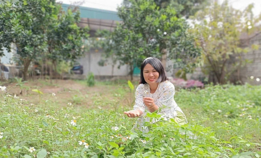 Khu vườn nhà êm ả. Ảnh: Ngọc Phạm