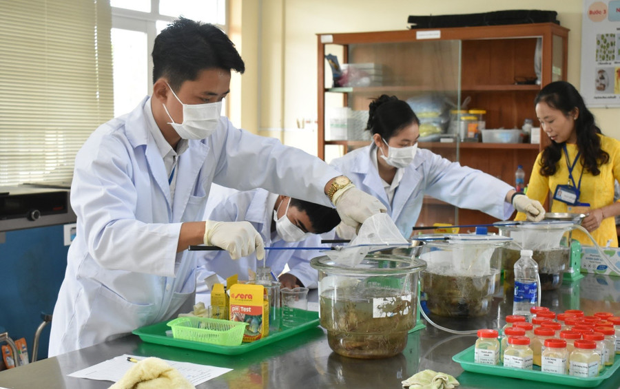 Sinh viên Trường Cao đẳng Kinh tế - Kỹ thuật Bạc Liêu trong Cuộc thi “Giỏi nghề” năm 2025. Ảnh: NTCC suc-hut-tu-truong-nghe-2.jpg