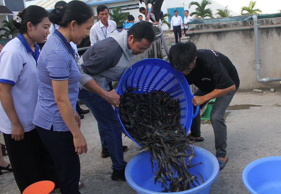 Sinh viên Trường Thủy sản, Trường Đại học Cần Thơ thực nghiệm tại trại nuôi tôm của trường. Ảnh: Q. Ngữ dao-tao-nhan-luc-vung-dong-bang-song-cuu-long-1.jpg