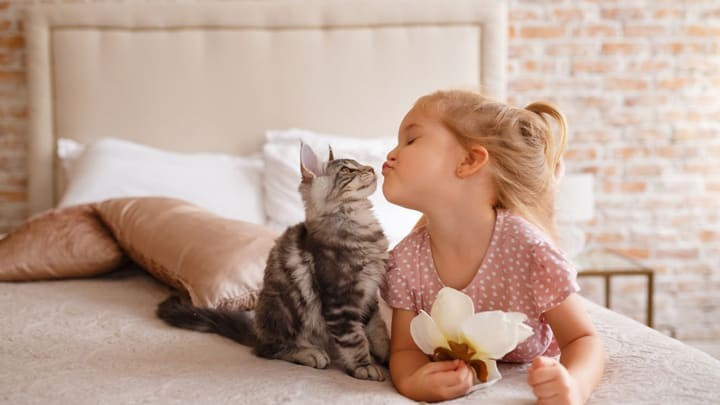 Muốn con yêu quý vật nuôi, cha mẹ hãy là tấm gương. Ảnh minh họa