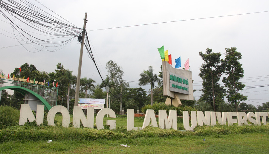 Trường Đại học Nông Lâm TPHCM - cơ sở giáo dục đại học trực thuộc Bộ GD&ĐT. tai-cau-truc-truong-dai-hoc-cong-lap3.jpg