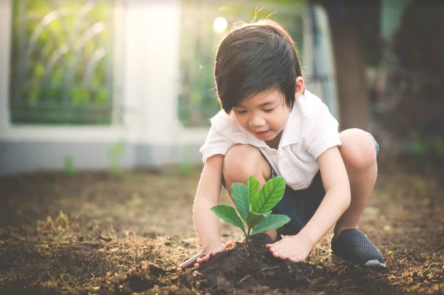 Trồng và chăm sóc cây xanh còn giúp trẻ hoàn thiện nhân cách. Ảnh minh họa: ITN.