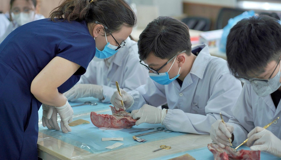 Sinh viên Khoa Răng Hàm Mặt, Trường Đại học Y Dược trong một workshop về phẫu thuật trong miệng hồi tháng 5. Ảnh: Fanpage LCĐ Khoa Răng Hàm Mặt trao-doi-sinh-vien-giang-vien-y-khoa-qua-hop-tac-quoc-te-1.jpg