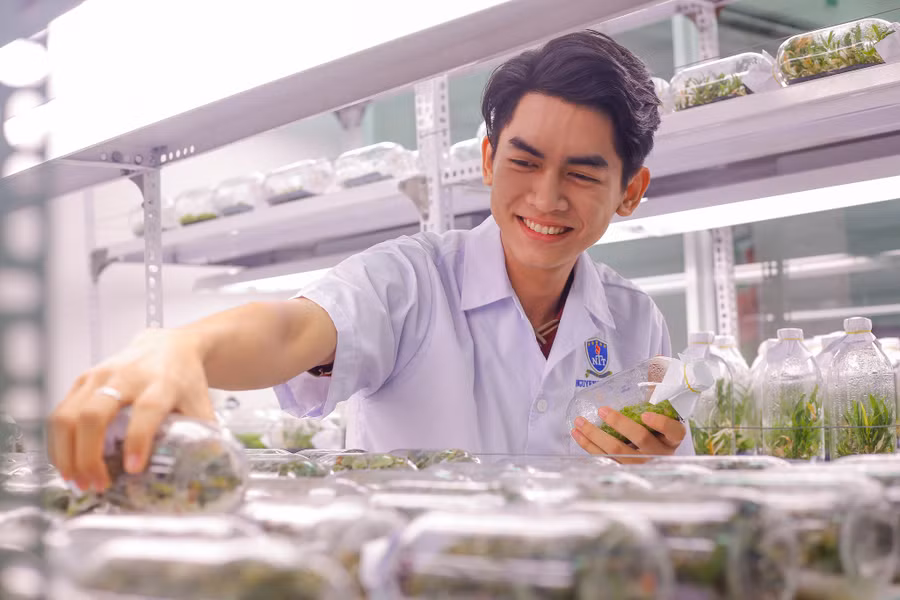 Sinh viên Trường Đại học Nguyễn Tất Thành trong giờ học thực hành. Ảnh: NTTU