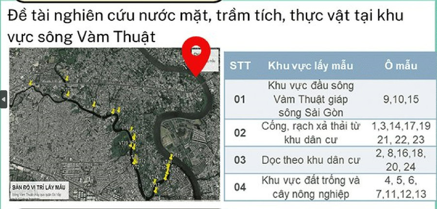 Sơ đồ vị trí các ô mẫu của nghiên cứu trên sông Vàm Thuật. Ảnh: NVCC hanh-trinh-tim-ra-loai-cay-hap-thu-kim-loai-nang-trong-nuoc-1.jpg