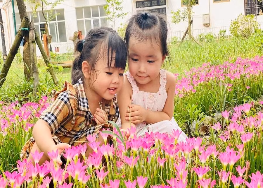 Trẻ được hòa mình vào không gian xanh cùng với cỏ cây, hoa lá tại Trường Mầm non Yên Sở (Hoài Đức, Hà Nội). Ảnh: TG 