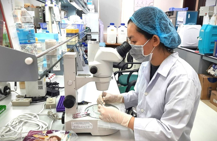 Nghiên cứu khoa học tại Trường Đại học Quốc tế, Đại học Quốc gia TPHCM. Ảnh: Phúc Uyên