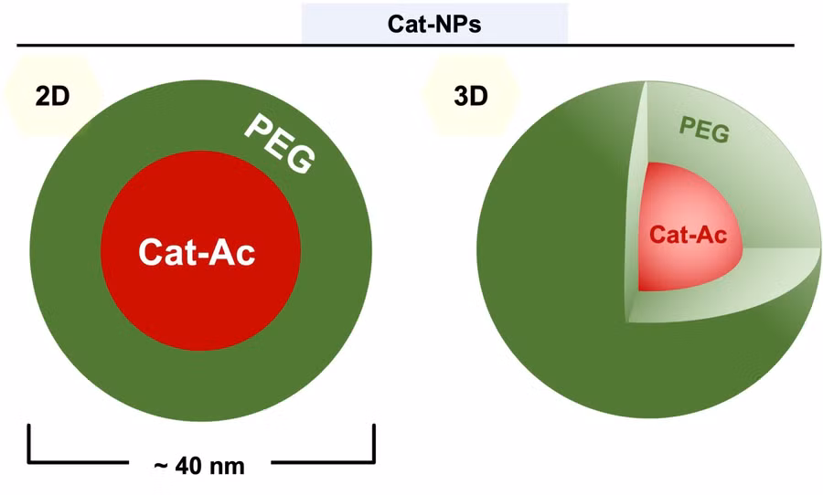 nano-polymer-tri-viem-loet-dai-trang-1.jpg