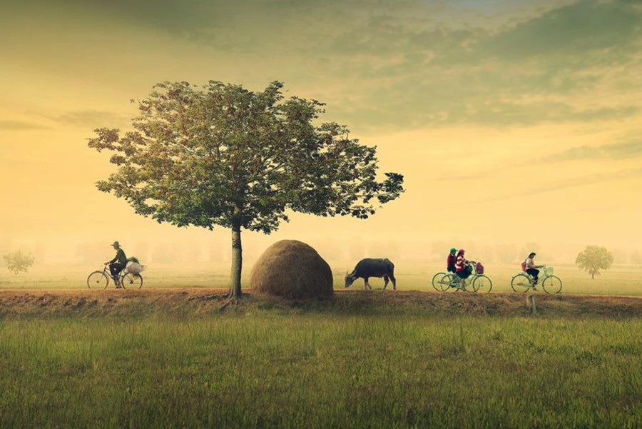 Trong bài thơ “Quê hương” của Giang Nam, độc giả thấy được vẻ đẹp tâm hồn của cô gái qua tiếng cười “khúc khích”. Ảnh minh họa: ITN