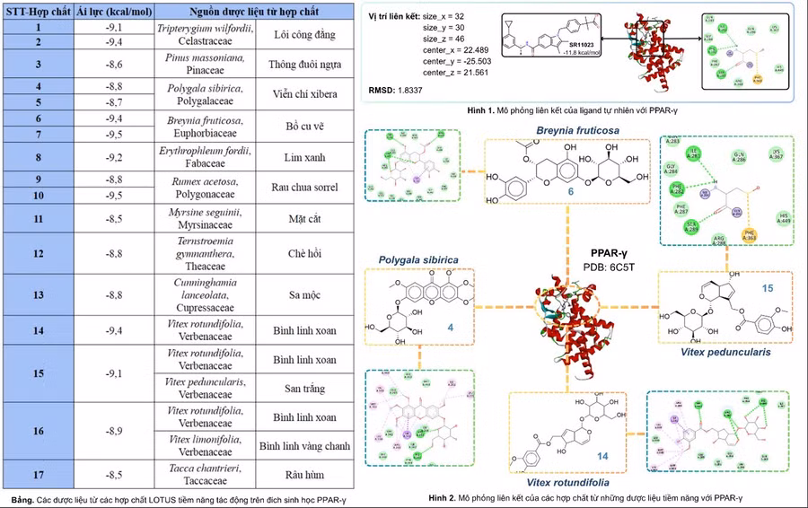 Sơ đồ kết quả nghiên cứu của nhóm. Ảnh: NVCC