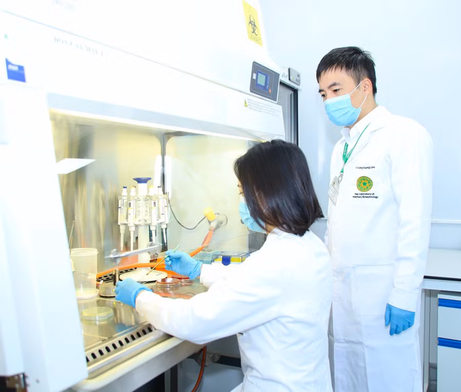 can chinh sach dac thu va dot pha (2).jpg