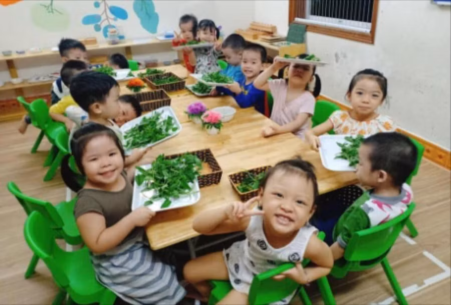 day con hoc an hoc noi (2).jpeg