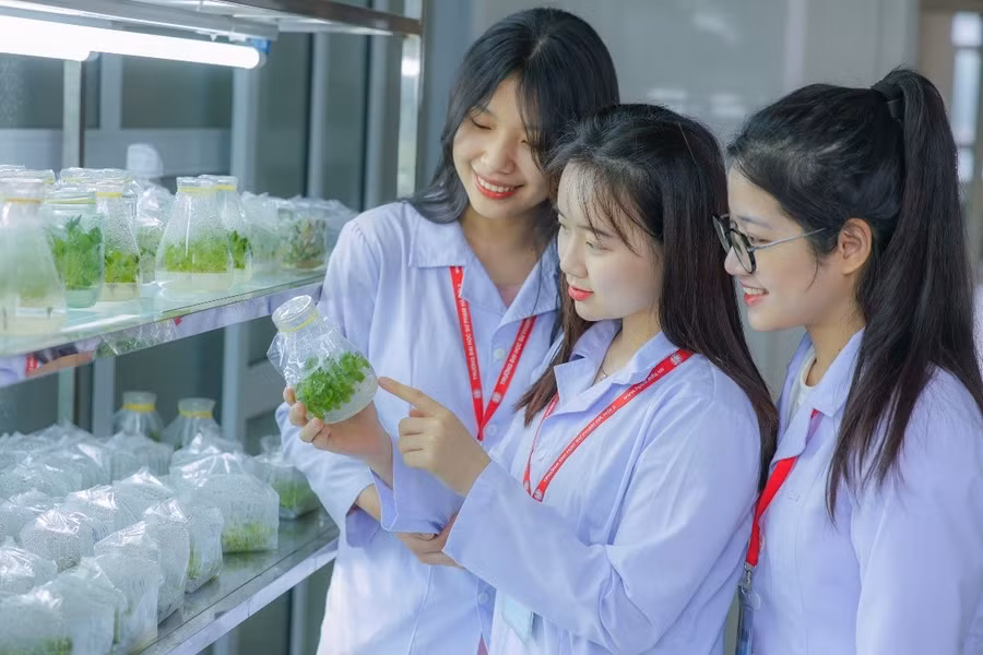Sinh viên Trường Đại học Sư phạm Hà Nội 2. Ảnh: NTCC