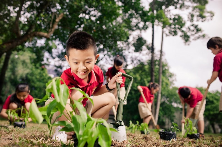 Cuộc sống với đầy đủ tiện nghi, nhưng nhiều trẻ lại thiếu những kỹ năng cơ bản cần thiết để ứng phó khi có sự thay đổi. Ảnh minh họa: ITN.