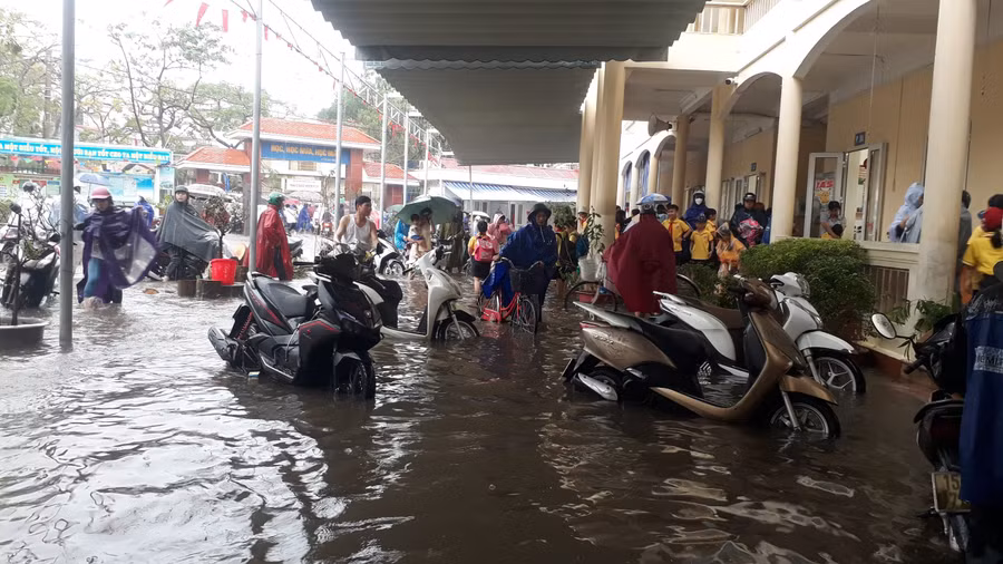 mong don tro som tro lai truong (1).jpg