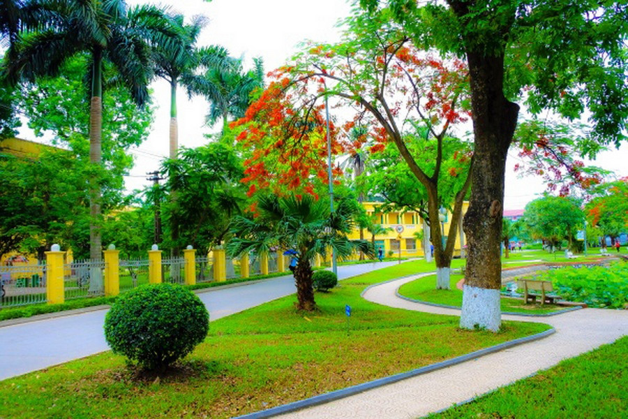Đường đến giảng đường của Học viện Nông nghiệp Việt Nam. Ảnh: NTCC xanh-hoa-dai-hoc-1.jpg