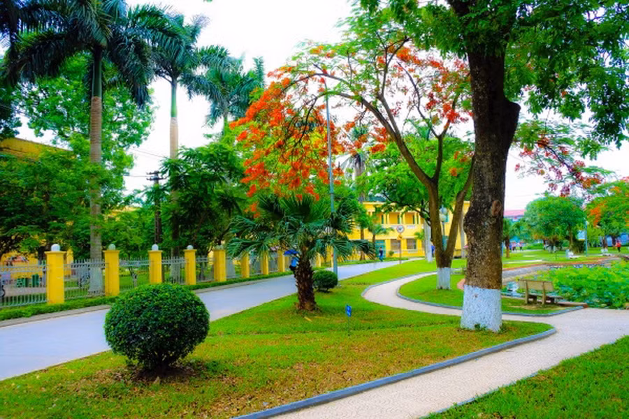 xanh-hoa-dai-hoc-1.jpg