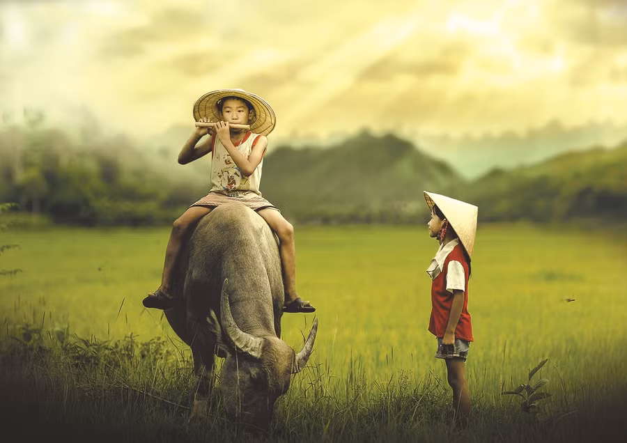 hon tho cua mot nguoi yeu nuoc minh (3).jpg