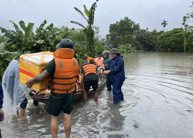 nghia dong bao (1).jpg