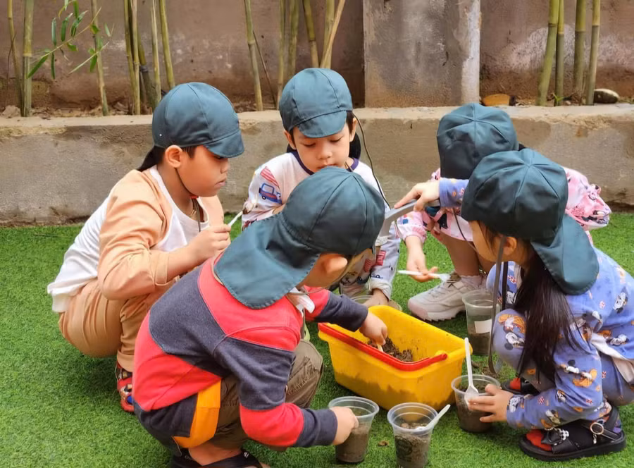 Các bé Trường Mầm non Ngọc Lan (quận Hải Châu, TP Đà Nẵng) với hoạt động khởi động của dự án Quá trình phát triển của cây. Ảnh: NTCC