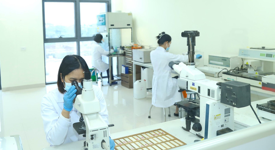 Cán bộ, giảng viên Học viện Nông nghiệp Việt Nam nghiên cứu trong phòng thí nghiệm. Ảnh: NTCC