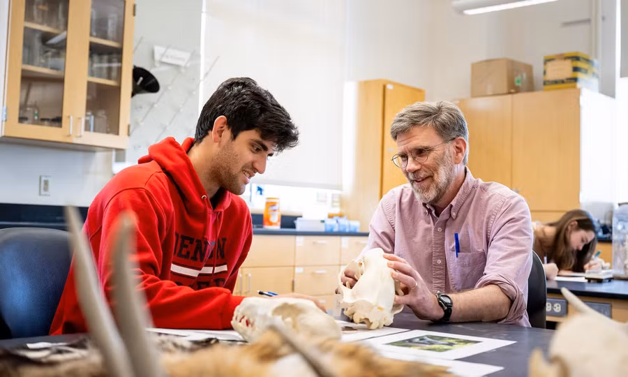 Tại Anh, người được xét danh hiệu GS, PGS tại các trường đại học cần có bằng chứng về thành tích rõ ràng. Ảnh: INT