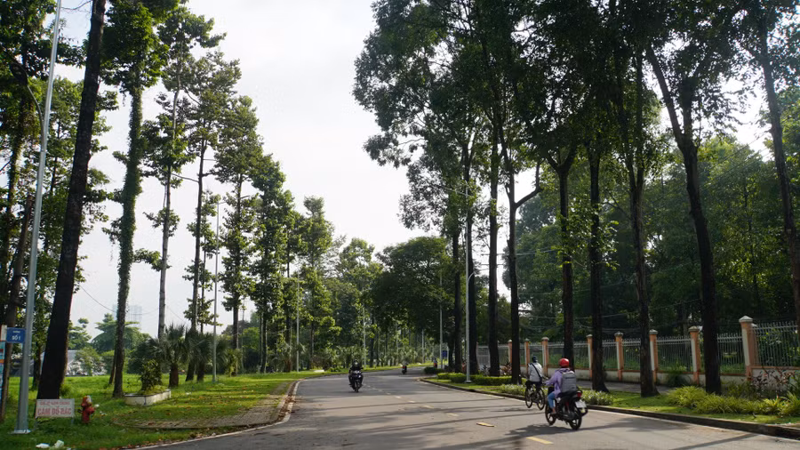 Phat trien co so vat chat truong cac dai hoc (3).JPG