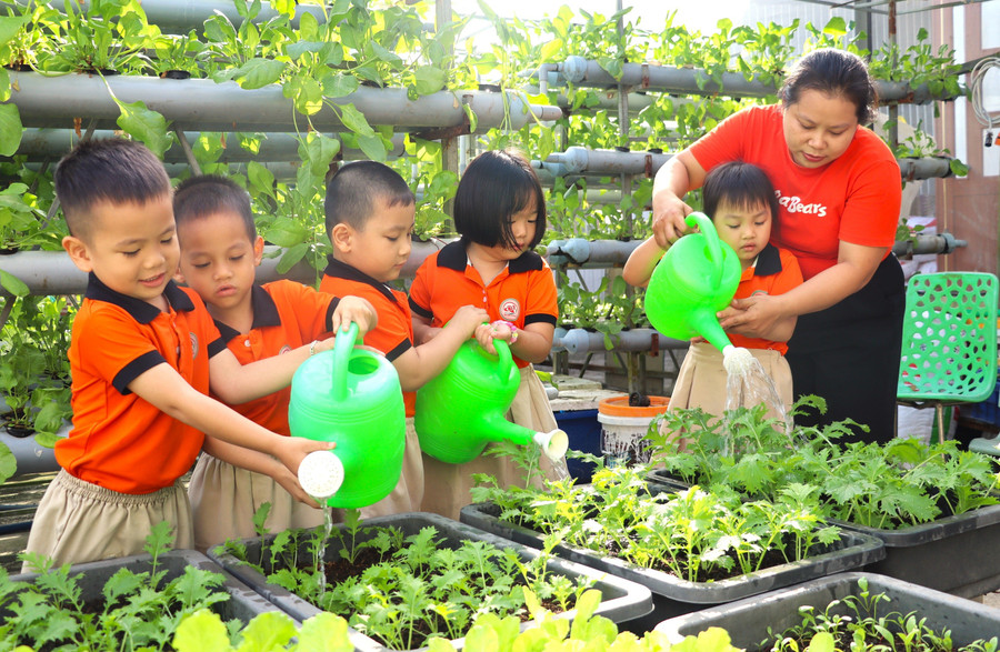 Cô, trò Trường Mầm non Hạnh Phúc (TP Cà Mau) tưới nước cho rau. Ảnh: Quách Mến 