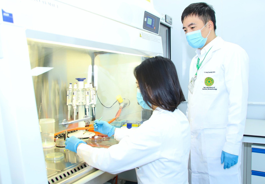Nghiên cứu khoa học ở Học viện Nông nghiệp Việt Nam. Ảnh: NTCC