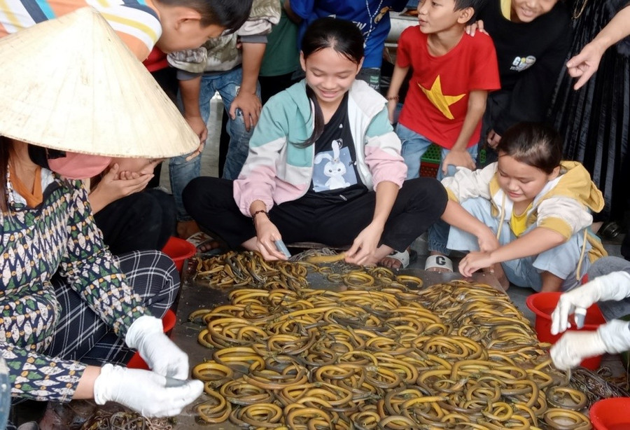 Học sinh trải nghiệm cách sơ chế lươn đồng tại địa bàn xóm Phan Thanh (Nghệ An).