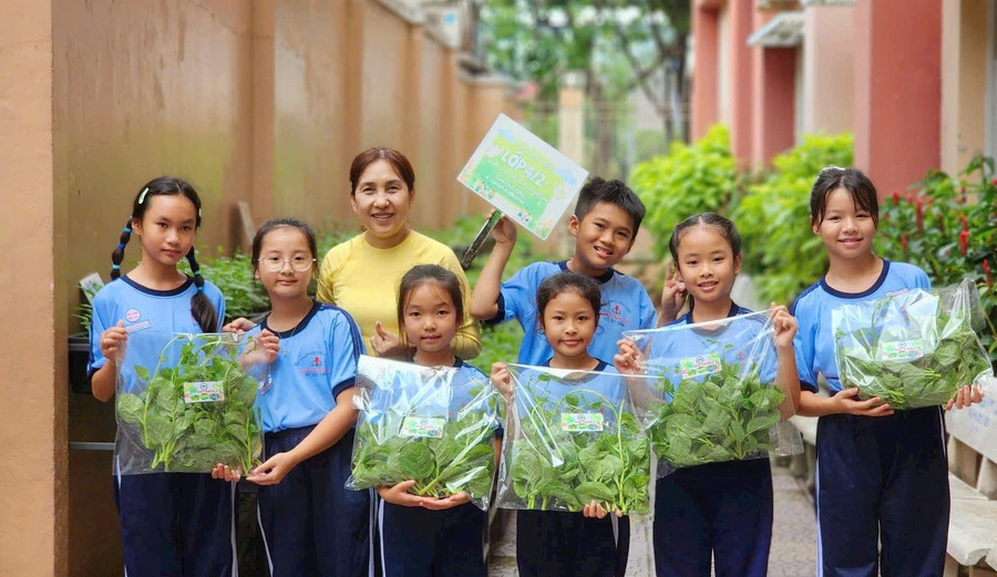 Μαθητές από το Δημοτικό Σχολείο Dang Tran Con (Περιφέρεια Vinh Hoi) μαζεύουν λαχανικά στο σχολείο. Φωτογραφία: TH hoc-sinh-tphcm-duoc-cap-bhyt-mien-phi-1.jpg