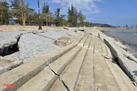 bien-cua-lo-6.jpg