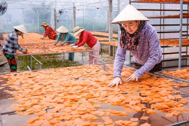 Làng nghề bánh phồng tôm xã Hàng Vịnh, huyện Năm Căn sản xuất quanh năm nhưng cao điểm nhất vẫn là dịp Tết Nguyên đán hằng năm. Thị trường tiêu thụ không chỉ trong nước mà còn xuất khẩu ra nước ngoài. banh-phong-4.jpg