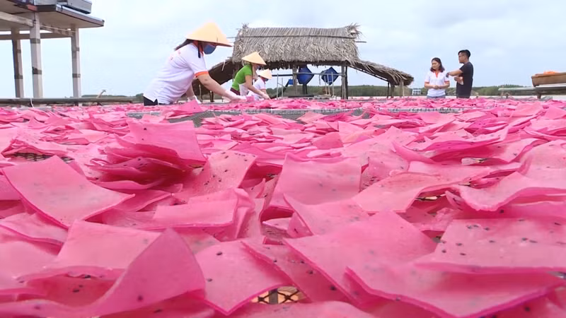 Công đoạn phơi bánh sau khi cắt. banh-phong-tom-10.jpg