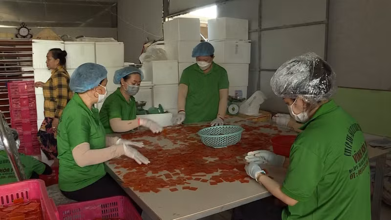 Mỗi dịp Tết, trung bình một cơ sở sản xuất bánh phồng tôm cung ứng ra thị trường khoảng vài tấn sản phẩm. banh-phong-nam-can-7.jpg