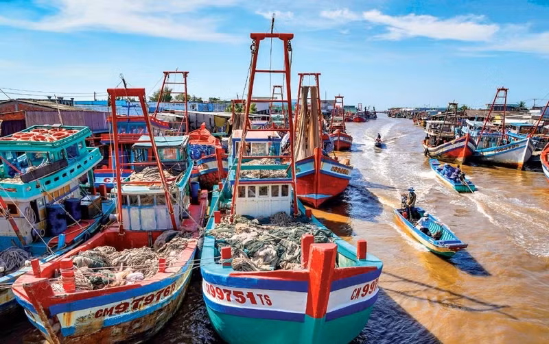 Cửa biển Cái Đôi Vàm (huyện Phú Tân) có hơn 500 phương tiện, chủ yếu khai thác gần bờ trên vùng biển Tây Nam, nơi có nguồn lợi cá Khoai dồi dào cai-doi-vam.jpg