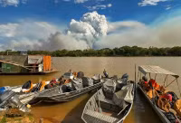 Thiên đường của đa dạng sinh học đang cháy rừng không kiểm soát