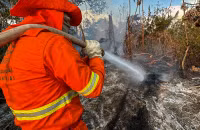 Thiên đường của đa dạng sinh học đang cháy rừng không kiểm soát