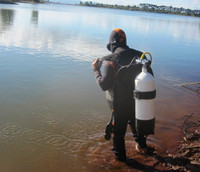 Nhảy xuống hồ vớt cá: Cá còn, người mất ảnh 3