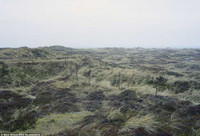 ngam nhung phao dai hoang phe tu the chien ii o chau au hinh anh 13