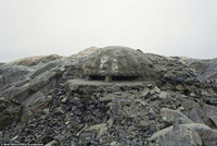 ngam nhung phao dai hoang phe tu the chien ii o chau au hinh anh 12