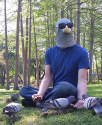 Con mồi đàn ông ảnh 8