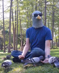 Con mồi đàn ông ảnh 8