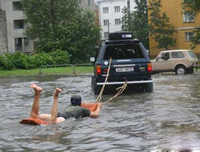 Con mồi đàn ông ảnh 1