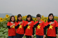 Say mê ngắm thảm hoa Mặt trời ảnh 4