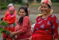 Chùm ảnh hàng nghìn nông dân Nepal mừng Ngày lúa quốc gia