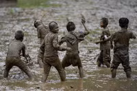 Chùm ảnh hàng nghìn nông dân Nepal mừng Ngày lúa quốc gia